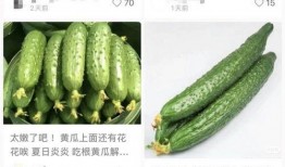 黄瓜特效爆料视频大全,揭秘神奇美容秘诀